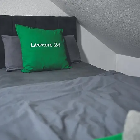 Livemore24 - 4 In Wlan - Smart-tv - 24-7 Check-in Und Kueche *